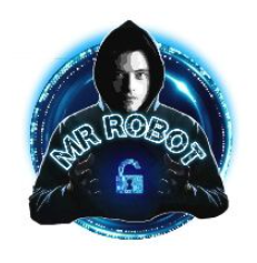 MR Robot